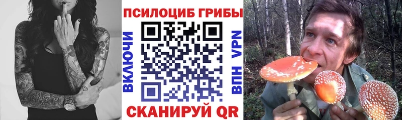 Купить  Ангарск  Псилоцибиновые грибы мухоморы 